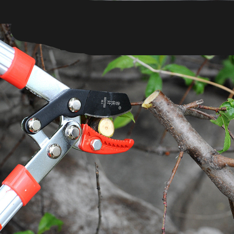 Small Scissors With Aluminum Handle Garden Pruning Garden Tools